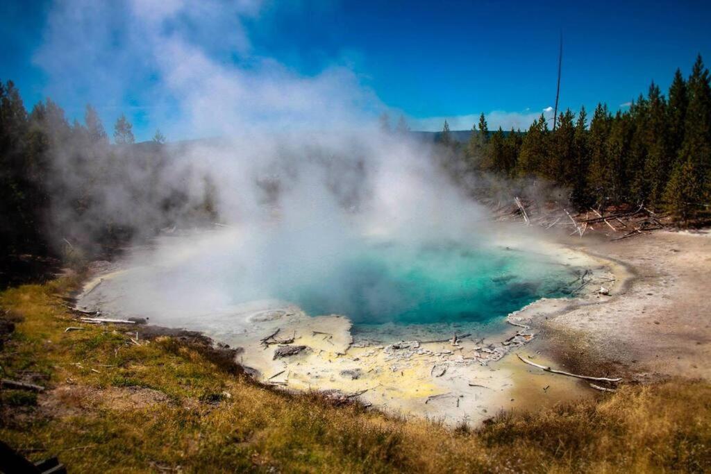 White Owl Retreat Yellowstone Grand Teton Island Park Esterno foto