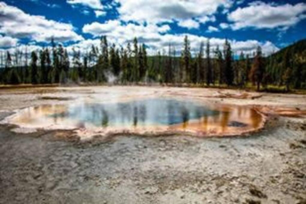 White Owl Retreat Yellowstone Grand Teton Island Park Esterno foto
